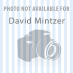 David Mintzer